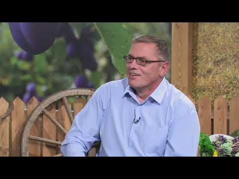 Naše dobro ep. 19 29.09.2018. Anketa, analiza zemljišta, klonska selekcija, Župska berba