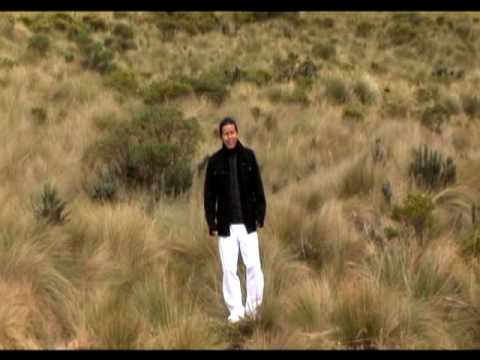 PROMESA DIVINA - ALEGRIA