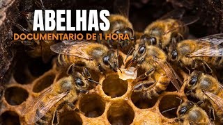 ABELHAS: Os Engenheiros Mais Geniais da Natureza que Constroem Cidades Perfeitas - Documentário