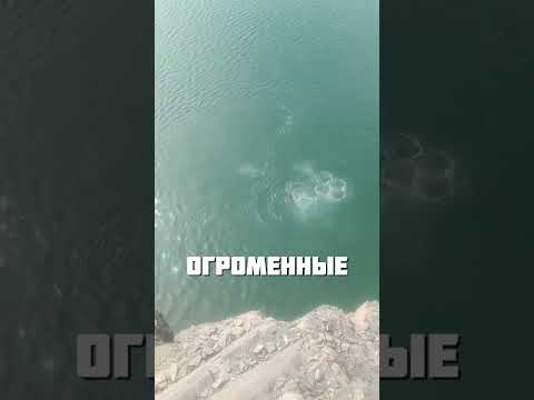 НЛО ПОД ВОДОЙ