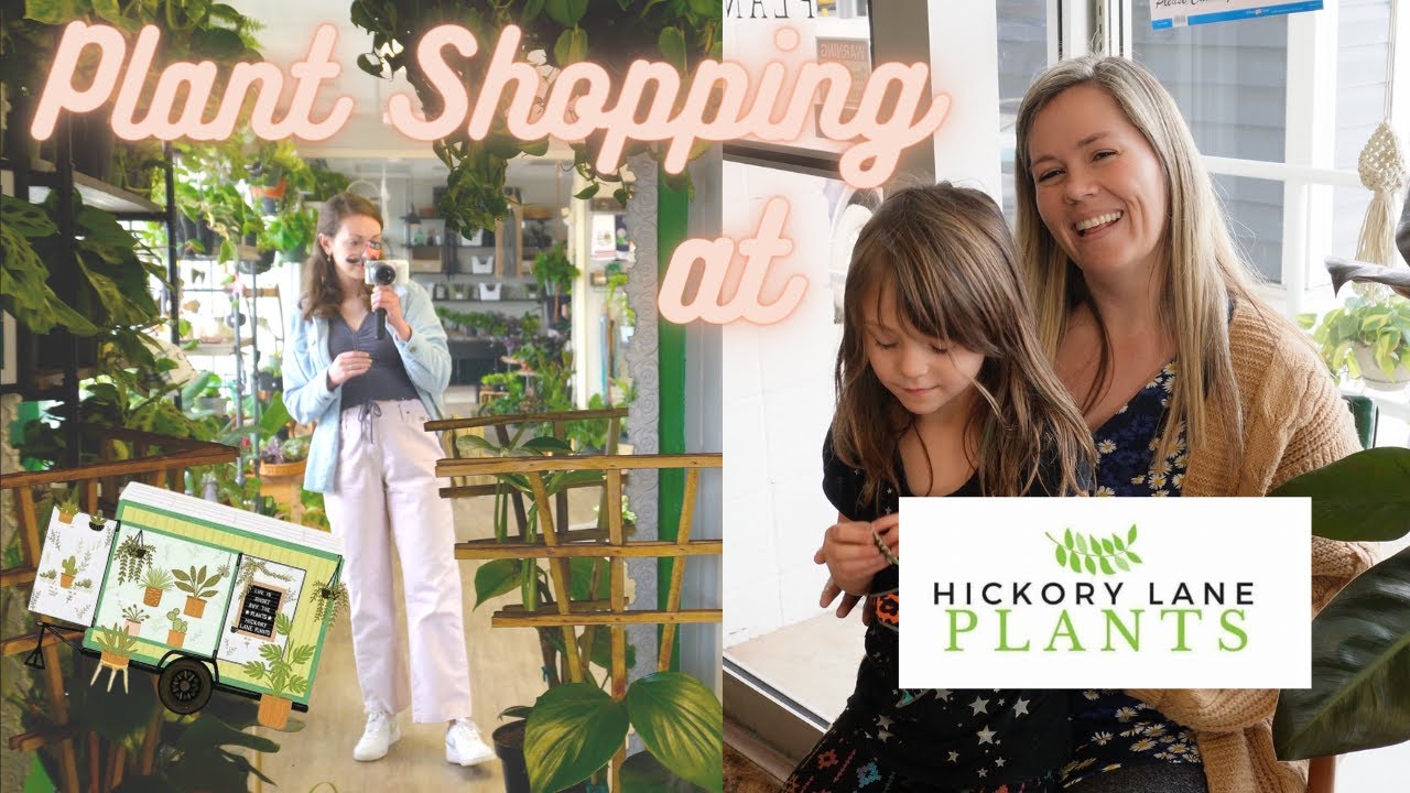 Plant Shopping At Hickory Lane Plants in Springfield, MO!