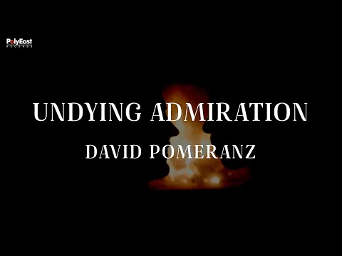 David Pomeranz - Undying Admiration (Official Lyric Video)