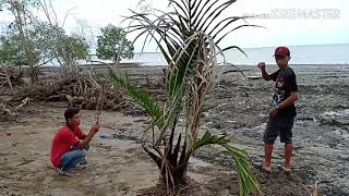 preview picture of video 'Pantai jigo pangkalan susu'