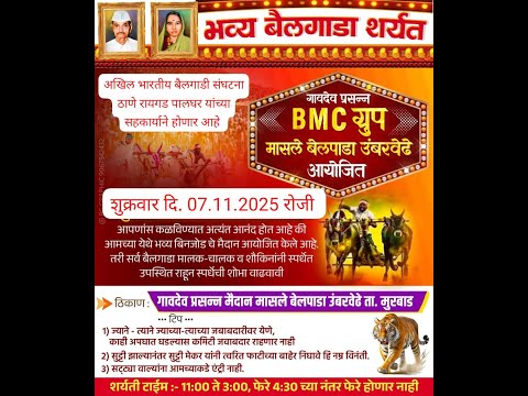 BMC GROUP गावदेव प्रसन्न मासले बेलपाडा उंबरवेढे आयोजित छकड्यांच्या जंगी शर्यती | ७ नोव्हेंबर २०२५