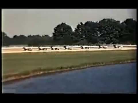 1958 DuQuoin State Fair LITTLE ROCKY Hambletonian 2nd Heat Joe O'Brien