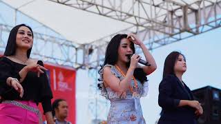 Download lagu OJOK DIPLEROKI All Artis New Monata  Latubaya 2022 @sodiqmusic @budhehanaudio3915 mp3