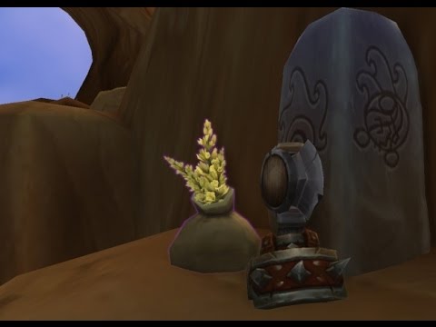 WOW - How to get the Bag of Herbs