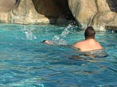 download lagu mp3 mp4 Hayden And Aaron Amazing Race, download lagu Hayden And Aaron Amazing Race gratis, unduh video klip Hayden And Aaron Amazing Race