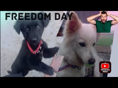 Aaj dono ko ajadi mil gyi | 1st vlog/Tanveer vlog