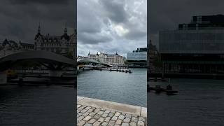 Christianshavn pack battle #pokemon #pokemoncards #pokemontcg