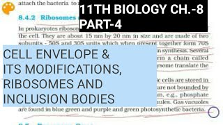 Class 11 biology,Ch.8,Part-4||Cell envelope & ribosomes in prokaryotes||Study with Farru
