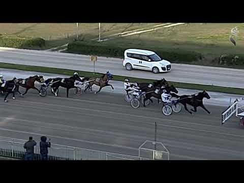 Aversa trotto 12 Marzo 2022 - 5° Corsa