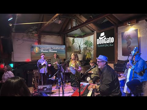 Promotional video thumbnail 1 for DonGato Latin Band