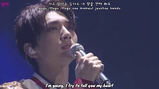 Download lagu SEVENTEEN - Run to You (지금 널 찾아가고 있어) [Han Rom Engsub] Lyrics mp3