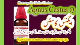 preview picture of video 'AGNUS CASTUS Q | CHESTE TREE| TESTOSTERONE LOWER|MILK PRODUCER|ACNE CURE|PIMPLES REMOVER|'