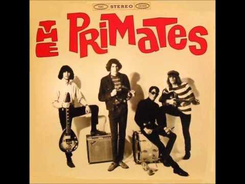 The Primates - You Drive Me Wild