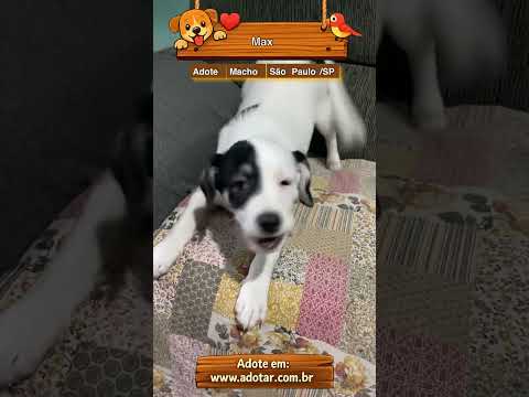 Vídeo de Max