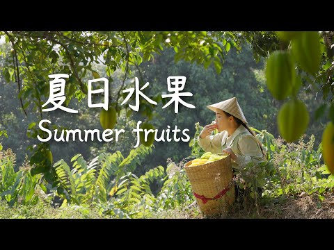 Summer in Yunnan: endless fruit to pick, endless joy — how could I not love my hometown?【滇西小哥】