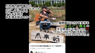 スカP が爪木崎の植物園からライブ配信中！