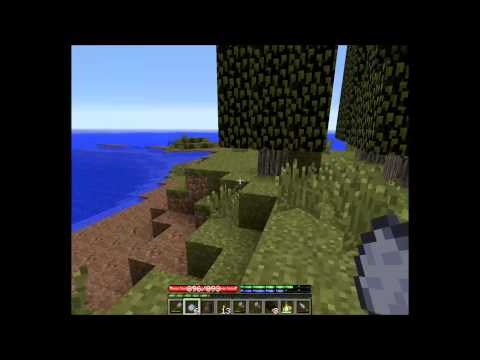Let's Play Terrafirmacraft #004 Einpacken