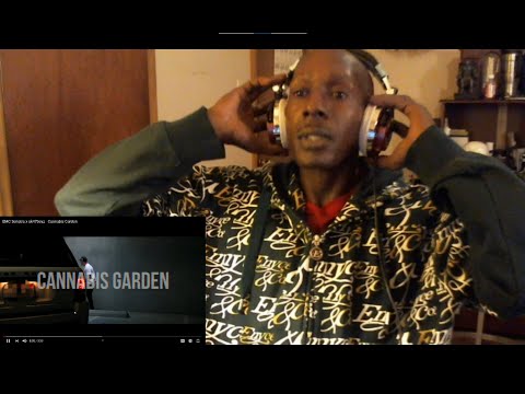 Face Famous Reactions: EMC Senatra x ak47boyz - Cannabis Garden