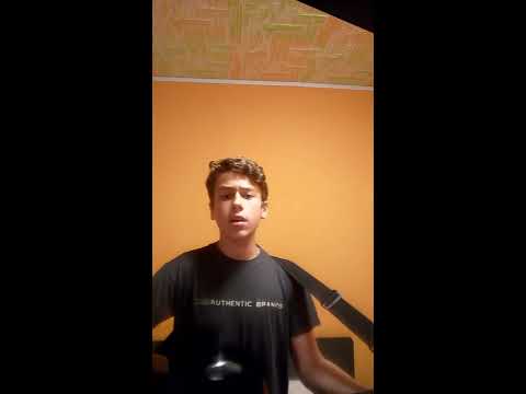 Cover n°2: Jiří Schelinger- Holubí dům