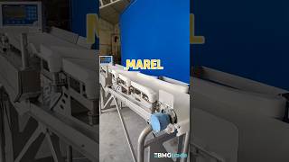 Venta de Marel GRA-PA32-CG60 otra maquinaria de procesamiento de alimentos - Imagen 4 | Machineryline MX Marel GRA-PA32-CG60 otra maquinaria de procesamiento de alimentos | Imagen 4 - Machineryline