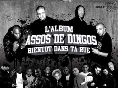 Quand on arrive en ville-Assos de Dingos