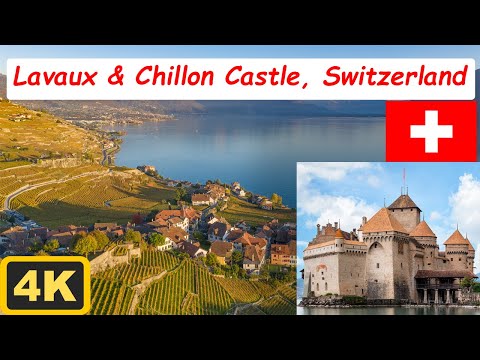 Magical LAVAUX | The Swiss Wine Terraces & Swiss Castle Tour Chateau de Chillon Montreux Switzerland