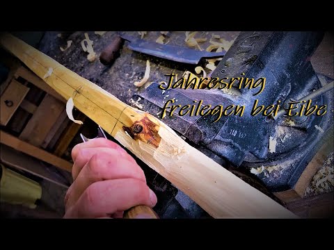 Bogenbau - Jahresring freilegen bei Eibe