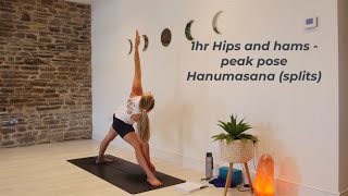 1 hr hips and hamstrings - peak pose Hanumasana (splits)