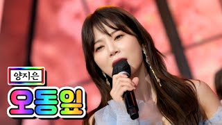 양지은 - 오동잎