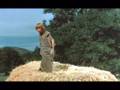 Pete S Song From Pete S Dragon