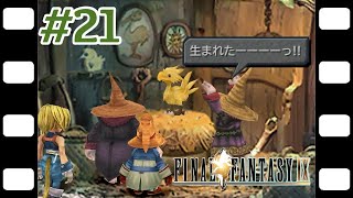 ミニチョコボの誕生と限りある生命『FINAL FANTASY IX』#21