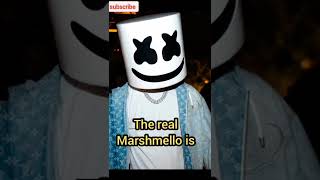 Download lagu Unbelievable! Marshmello's true identity😱 mp3