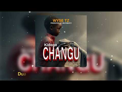 Wyse - KIDOGO CHANGU (AUDIO LYRICS)