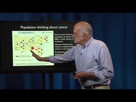 Evolutionary Thinking: Styles of Thought - Typological, Population, and Tree Thinking