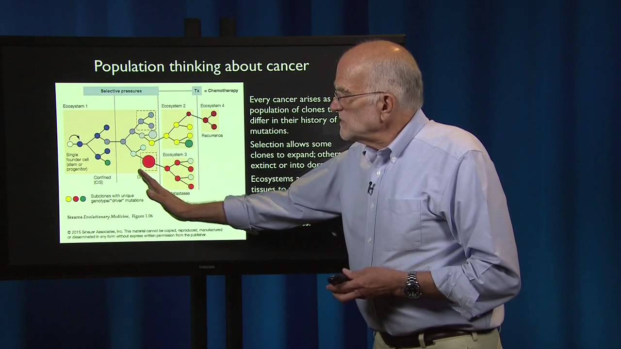 Evolutionary Thinking: Styles of Thought - Typological, Population, and Tree Thinking