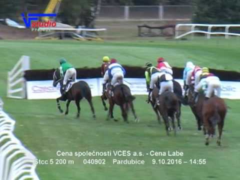 9. 10. 2016 - 6. dostih - Cena společnosti VCES a.s. - Cena Labe
