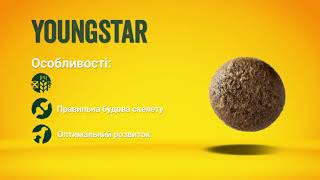 Josera (Йозера) Young Star - Беззерновой корм для щенков и молодых собак (ягненок)