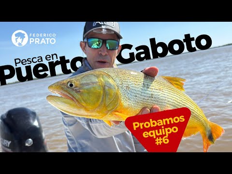 Puerto Gaboto, ¿pescar dorados con equipo #6? #pescaconmosca #flyfishing #atadodemoscas