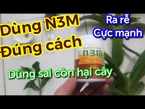 Cách sử dụng N3M, ra rễ cực mạnh, dùng đúng cách mới đạt hiệu quả
