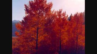 Those Dancing Days Are Gone - Carla Bruni cover