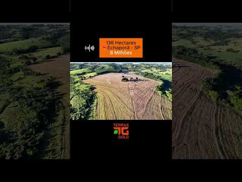 Fazenda maravilhosa no município de Echaporã, São Paulo #agronegocio
