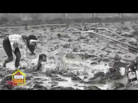 Saksikan Bedah Rumah NewNormal Senin, 15 Juni 2020 Pukul 20.30 WIB di GTV