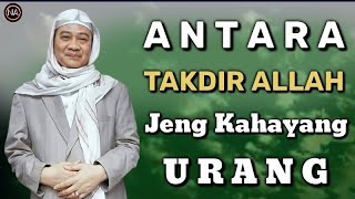 Download lagu MOAL AYA NU BISA NGAROBAH TAKDIR ALLAH || ABUYA UCI CILONGOK mp3 Download lagu MOAL AYA NU BISA NGAROBAH TAKDIR ALLAH || ABUYA UCI CILONGOK mp3