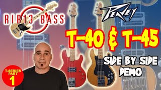 Video thumbnail for Rib13 Bass  - Peavey T-40 & T-45 Side By Side Demo by Rib13 Bass