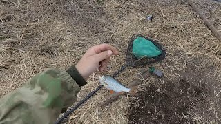 Рыбалка на свислочи в дукоре