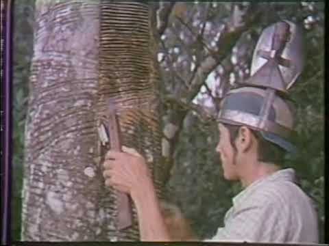 Seringueiros do Acre (1977)