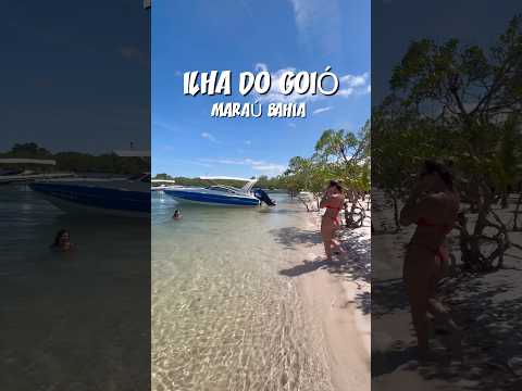 Ilha do Goió Maraú Bahia #shorts